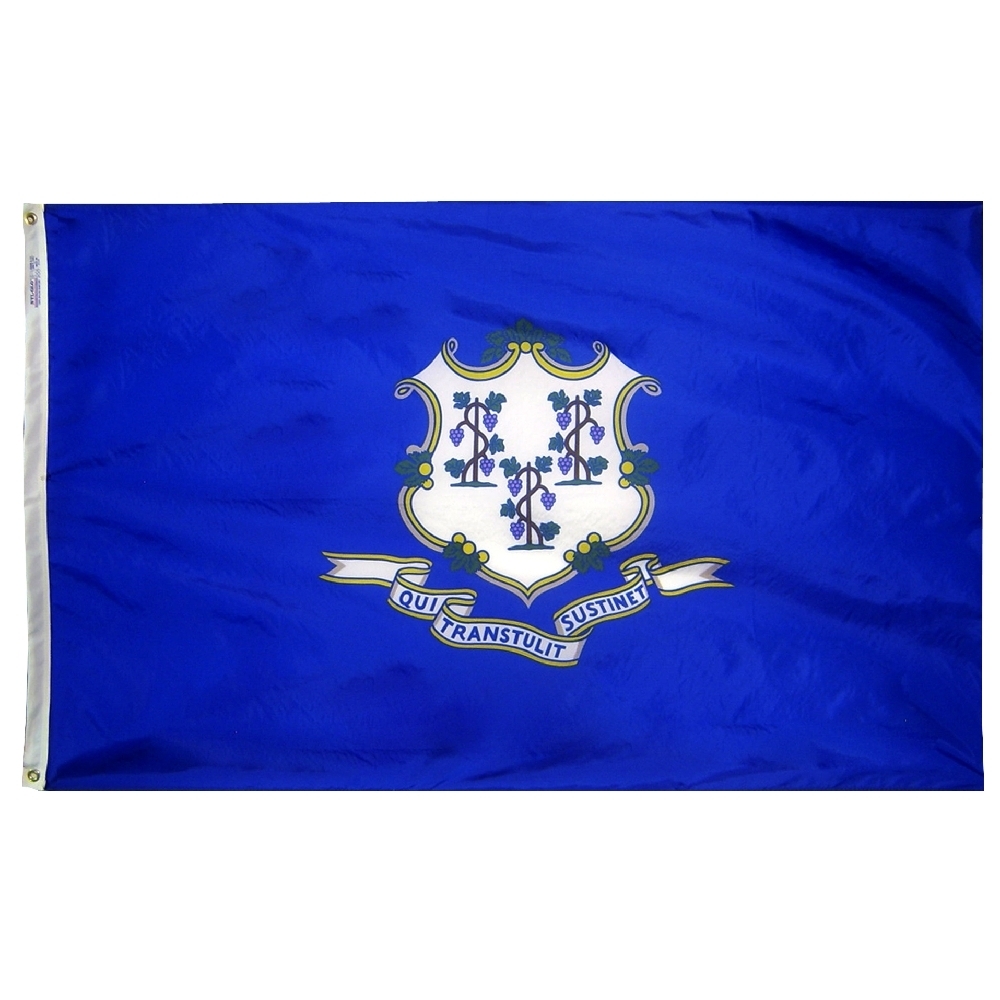 Nylon Connecticut Flag