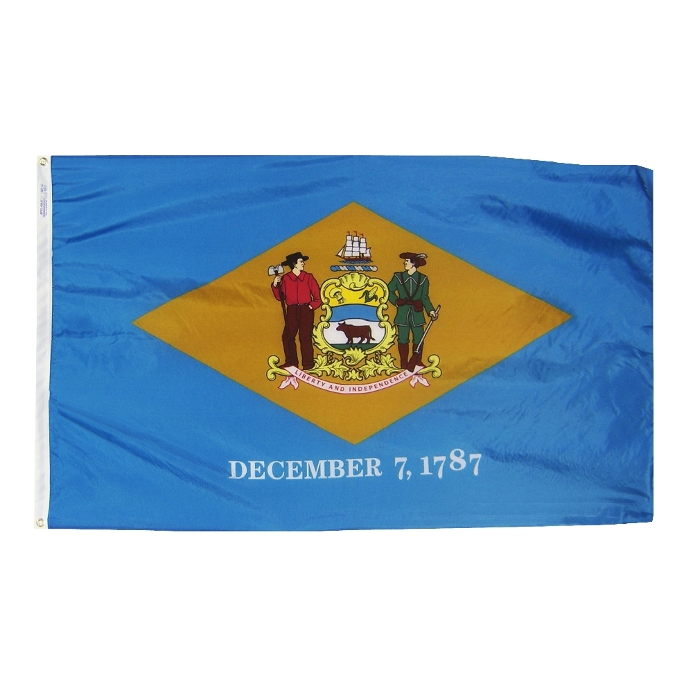 Nylon Delaware Flag